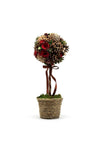 Verano Topiary Tree with Pine Cones, Pine, Leaves and Berries, Red